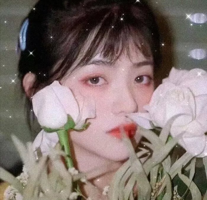 猫王传奇